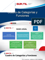 Presentación_Cuadro de Categorias y Funciones_Curso Virtual 5