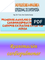 Primeros Auxilios en El Paro Cardiorespiratorio - PPT