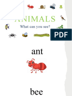 Animals What Can You See Flashcards 139610