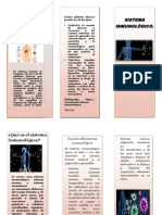 Folleto Anatomia