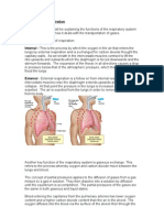 Assignment Respiratory During Exercise