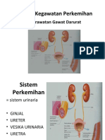 Gagal Ginjal Akut: Penyebab, Gejala, Diagnosis dan Penatalaksanaan