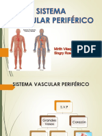 Vascular P Eriferico C.