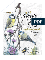 Secrets of A Devon Wood: My Nature Journal - Animals & Nature in Art (Still Life, Landscapes & Seascapes, Etc)