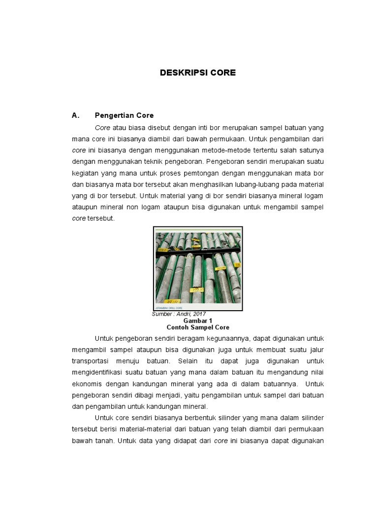 Deskripsi dan Penanganan Core Batuan | PDF