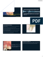 Anestesia em Odontologia