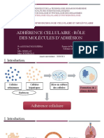 Support TD - Molécules D'adhésion