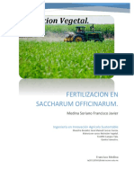 Fertilizacion en Saccharum Officinarum.