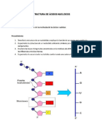 ESTRUCTURA DE ACIDOS NUCLEICOS..Laura Maria Tejera S.