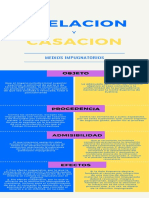 Apelación y Casación: Medios Impugnatorios