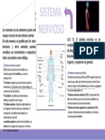 Sistema Nervioso PDF
