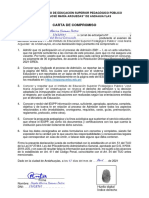 6. Carta de Compromiso 2 (1) (1)