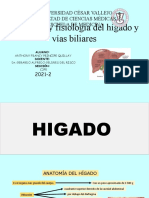 Anatomia y Fisiologia Del Higa y Vias Biliares