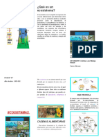 Ciencias Triptico Proyecto 6 Presencial