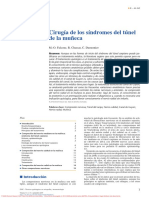 pdf-Cirugia-de-los-sindromes-del-tunel-de-la-muneca-tco-942714_plus