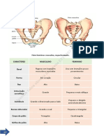 Diferenças anatômicas entre a pelve masculina e feminina