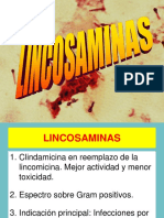Lincosaminas