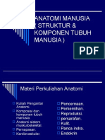 Struktur Tubuh Manusia