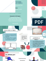 Ciclo de La Urea