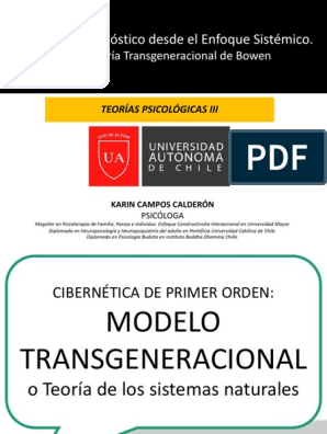 Modelo Transgeneracional | PDF | Ansiedad | Las emociones