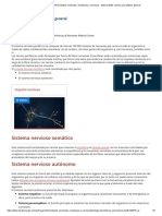 Nervios - Enfermedades Cerebrales, Medulares y Nerviosas - Manual MSD Versión para Público General