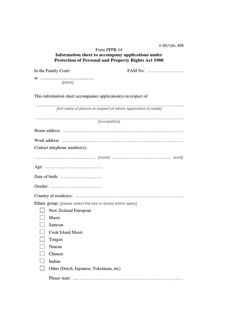 Information sheet for PPPR applications | PDF | Social Institutions ...