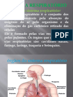 Sistema Respiratório