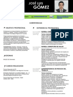 Curriculum-Vitae - PROFESIONAL PDF
