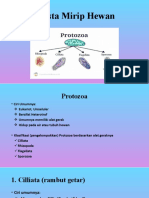 Protista Mirip Hewan