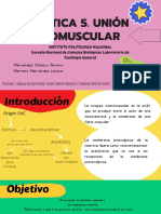 Unión Neuromuscular