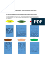 TAREA Huesos Del Miembro Superior