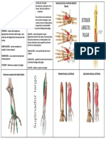 Mano Region Tenar Tarjetas