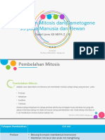 Pembelahan Mitosis Dan Gametogenesis Pada Manusia Dan Hewan