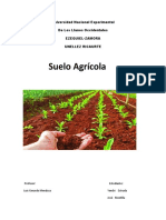 SUELOS AGRICOLA (Gerardo)