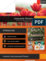 Araucanía Flowers Final Final