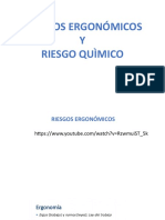 Riesgos Ergonomico y Quimico Scrit