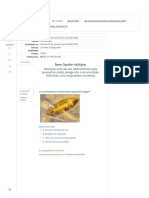 1-Diagnóstico Técnicas Sistemas Hidráulicos Revisión Del Intento