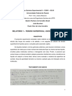 Relatório - Tesão Superficial e Ascensão Capilar