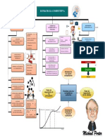 Mapa Conceptual Estrategias Competitivas