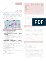 Mycobacterium y Espiroquetas Teoria 4