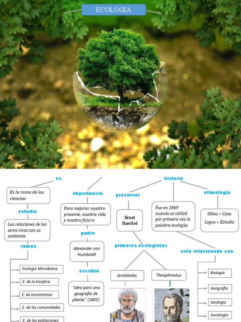 Organizador de Ecología | PDF