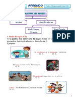 Ficha Estructura Del Sujeto Mila