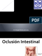 Oclusion Intestinal