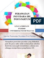 Perawatan Payudara Post Partum