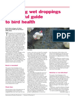 Wet Dropping Causes in Birds