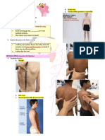 Spine and Extermities Reviewer