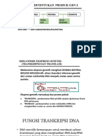 Sintesa Protein