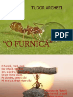 O - Furnica Proiect Didactic