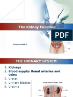 Fundamental of Urinary System (2020)