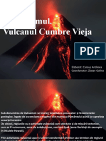 Vulcanismul